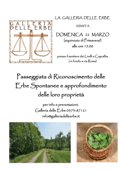 Passeggiata di Riconoscimento delle Erbe Spontanee e