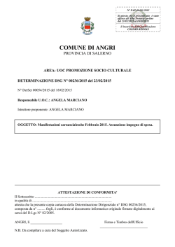 DSG-00236-2015-doc-frontespizio