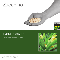 E28M.00387 F1