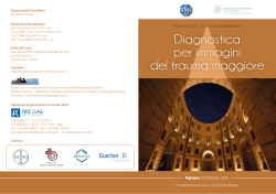 Programma ferrara copia