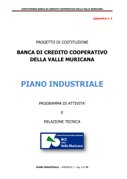 Piano Industriale - Comitato Promotore BCC Valle Muricana