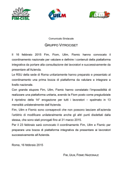 GRUPPO VITROCISET Il 16 febbraio 2015 Fim, Fiom, Uilm, Fismic