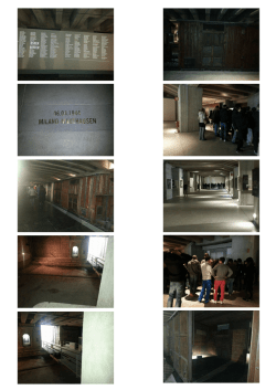 immagini della visita al memoriale della Shoah
