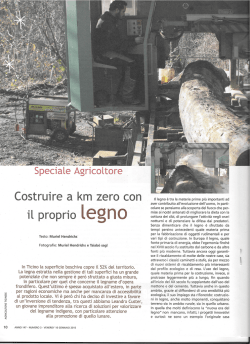 Il legno &egrave; tra le materie prime pi&ugrave; importanti ad aver