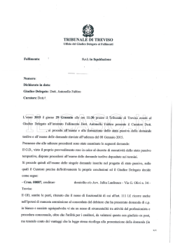 Domanda di concordato preventivo in bianco, mancata