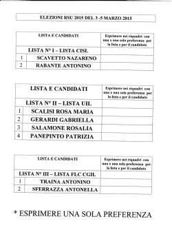 Istruzioni di voto