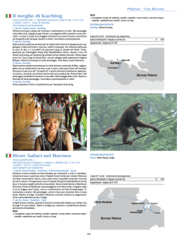 Mini Tour di Bali - programma B