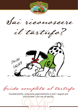 Guida completa al tartufo
