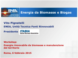 La bioenergia in Italia: stato dell`arte e sviluppi previsti