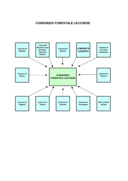 grafico consorzio forestale lecchese