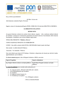 Disseminazione PON FESR E1
