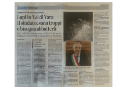 Lupi in Val di Vara