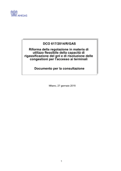 DCO 617/2014/R/GAS Riforma della regolazione in materia