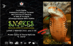 Invito inaugurazione mostra "SNAKES"