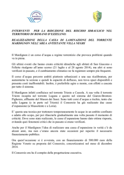 INTERVENTI PER LA RIDUZIONE DEL RISCHIO IDRAULICO NEL