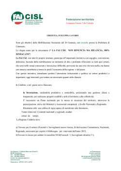 documento Fai Cisl Cz Kr Vv presentato al Prefetto