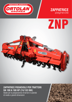 Scheda tecnica ZNP