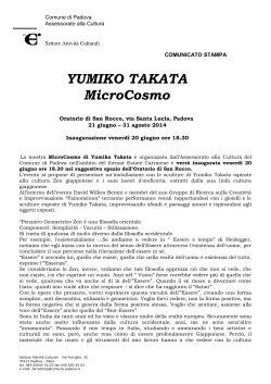 Yumiko Takata. MicroCosmo-Comunicato stampa