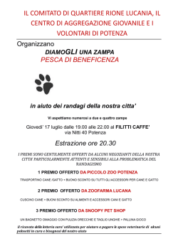 LOCANDINA LOTTERIA