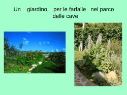 Istituto Comprensivo Est 1 Parco di farfalle
