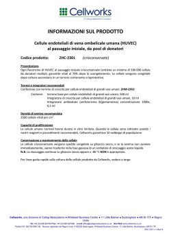 INFORMAZIONI SUL PRODOTTO