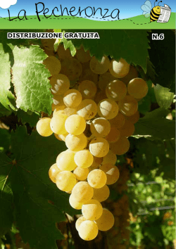 Download n.6 - La Pecheronza