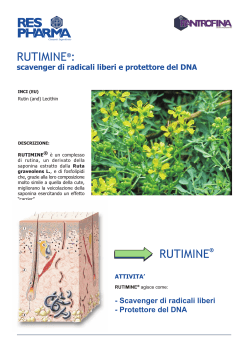 RUTIMINE_brochure ita