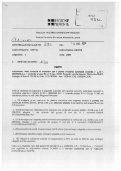 determinazione n. 293 del 2014