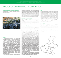 BROCCOLO FIOLARO DI CREAZZO