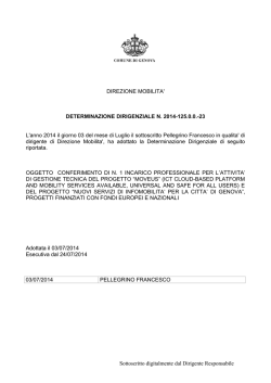 DETERMINAZIONE DIRIGENZIALE N. 2014-125.0.0.