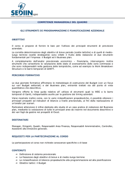 gli strumenti di programmazione e pianificazione