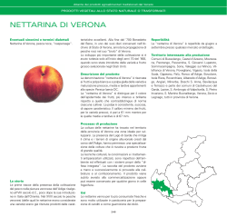 NETTARINA DI VERONA - Veneto Agricoltura