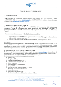 disciplinare_di_gara