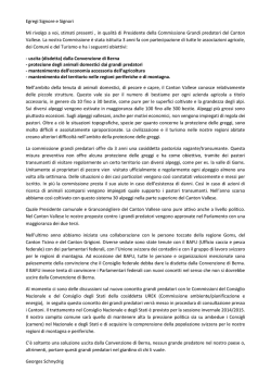 Egregi Signore e Signori Mi rivolgo a voi, stimati