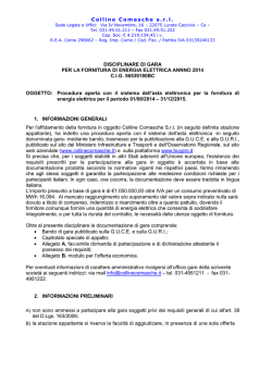 Disciplinare gara energia_01-08-2014_31-12-2015