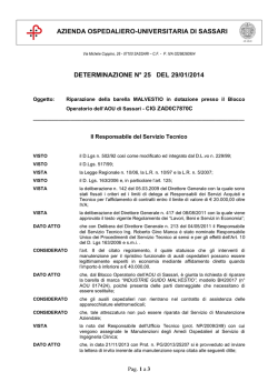 Determinazione del 29 Gennaio. n. 25 [file]