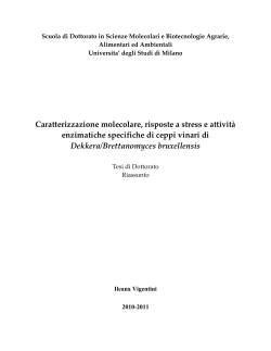 Caratterizzazione molecolare, risposte a stress e attività enzimatiche