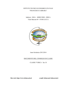 Documento di classe 5&ordf; Erica B - Istituto Tecnico Commerciale