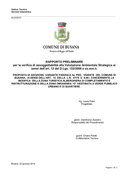Rapporto Preliminare