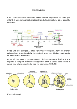 Endosimbiosi (PDF)