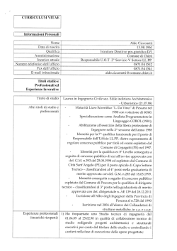 Curriculum Cicconetti Aldo