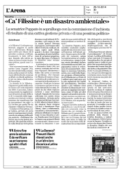download pdf - Pool Inquinamento