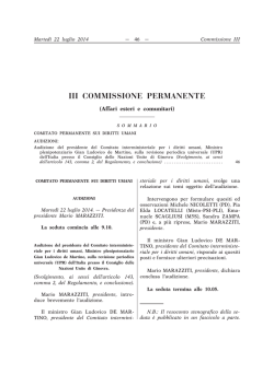 III Affari esteri e comunitari