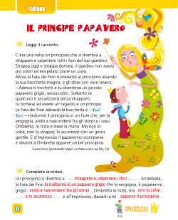 IL PRINCIPE PAPAVERO