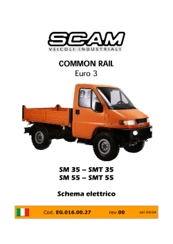 SM 35 – SMT 35 SM 55 – SMT 55 Schema elettrico