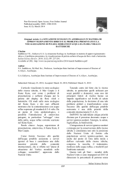 Sadikhova F.E., Guliyeva G.A. La situazione