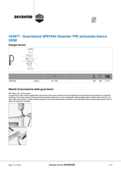 453877 - Guarnizione SP6764b Deventer-TPE