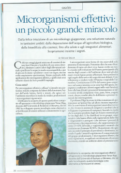 Download - Andiamo avanti tornando indietro