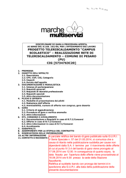 progetto teleriscaldamento “campus scolastico”