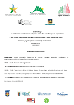 Programma preliminare_Workshop Belluno_06052014_ITA
